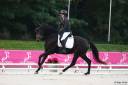 Superbe jument 5 ans gros potentiel