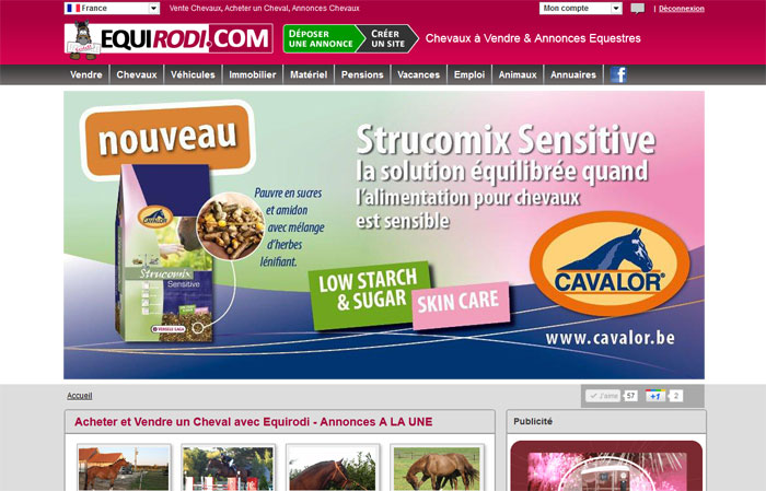Bannières « Pop up » Equirodi