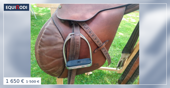 Selle Bruno Delgrange D'occasion – Idéale Pour Cavalier Passionné !