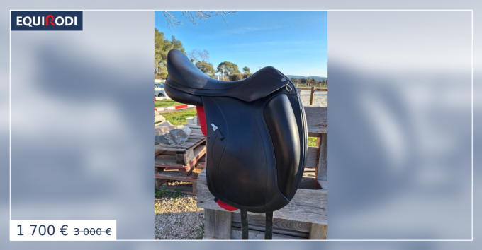 Selle dressage Équipe Viktoria taille 17,5 - Preppy Sport