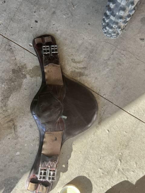 Selle devoucoux 
