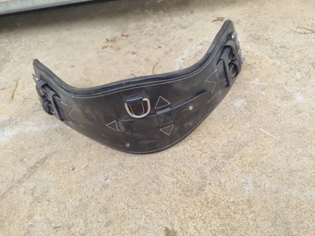 Selle dressage Isabelle Werth 