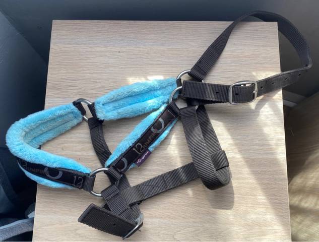 Licol taille cob/ taille 2