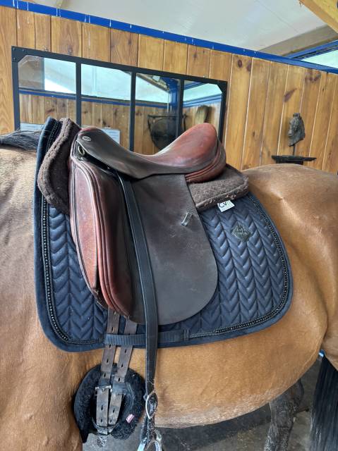 Dressage Cobra 17,5