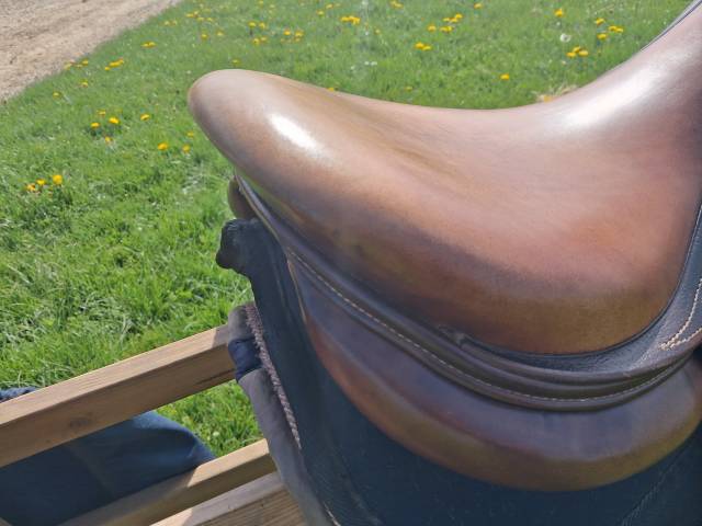 Selle signature antares