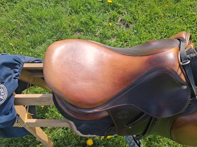 Selle signature antares