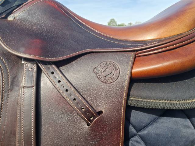 Selle signature antares