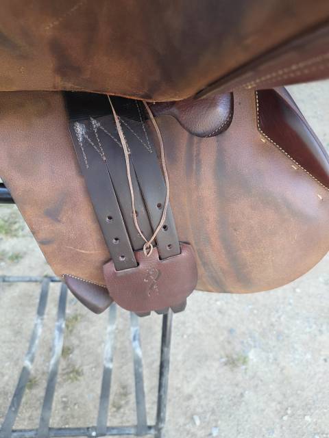 Selle antares connexion