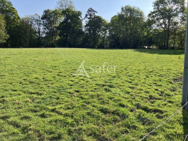 Corps de ferme avec foncier attenant