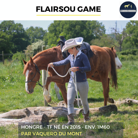 FLAIRSOU GAME - TF - 11 ANS