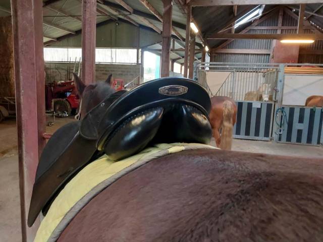 Selle Stubben Scandica