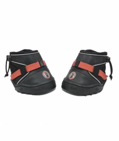 Hipposandales equi-fusion