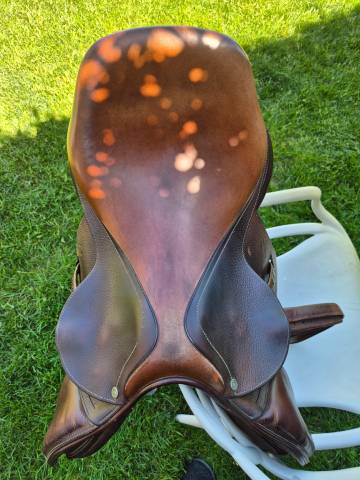 selle antares 