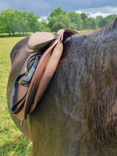 Selle wintec pro jump avec syst&egrave;me cair