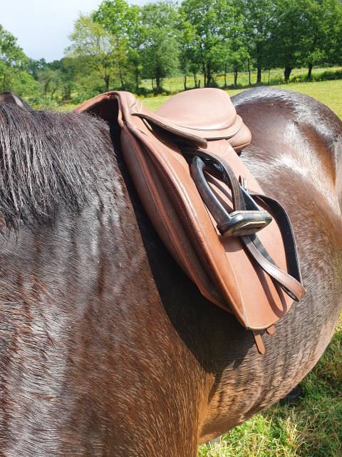 Selle wintec pro jump avec syst&egrave;me cair
