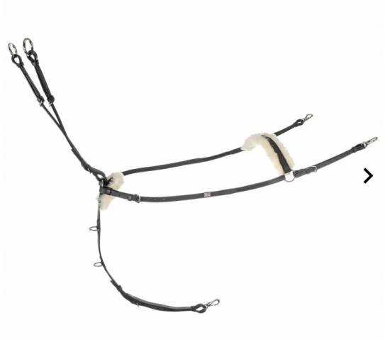Collier de chasse