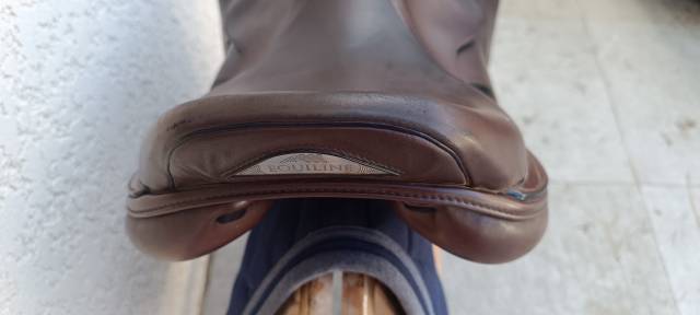 Selle &eacute;quiline taille 17 