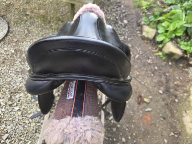 Selle dressage antares