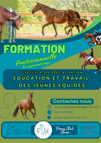 Formation CS &Eacute;ducation et Travail du jeune &eacute;quid&eacute;