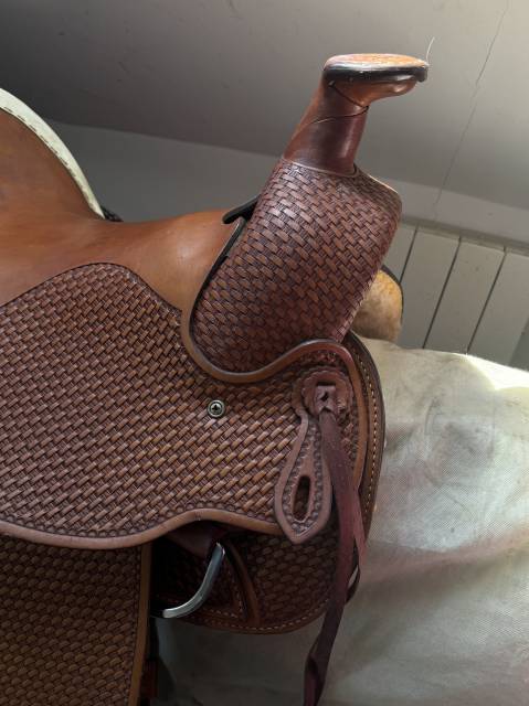 Selle Western Wade 15P Ar&ccedil;on Regular