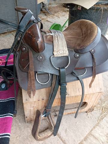 Selle western 