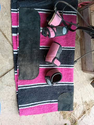 Selle western 