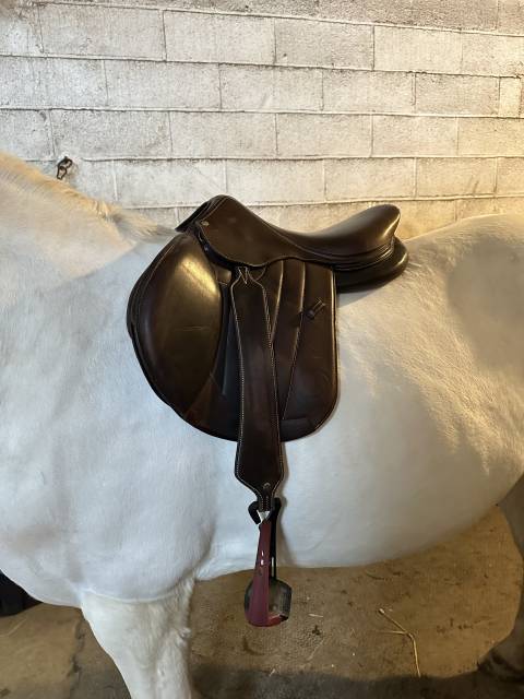 Selle Forestier S&eacute;oul 