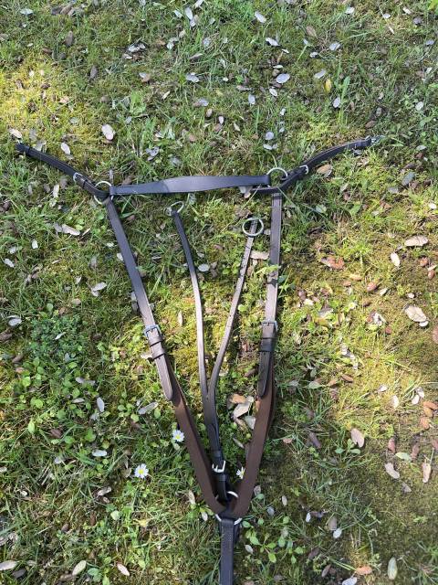 Collier de chasse avec martingales 