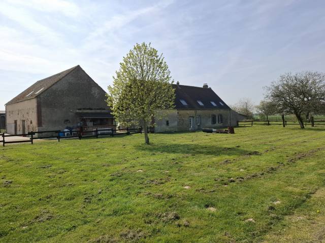 ? Propri&eacute;t&eacute; &eacute;questre de caract&egrave;re  Domaine de plus de