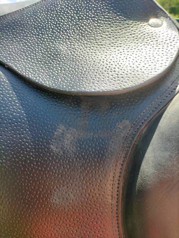 Selle Forestier Prem's noire 17'