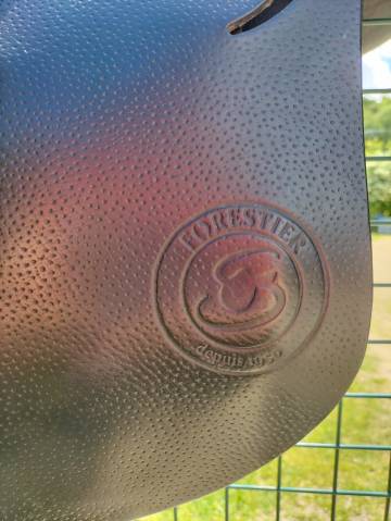 Selle Forestier Prem's noire 17'