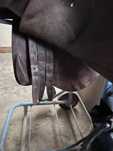 Selle CWD SE02
