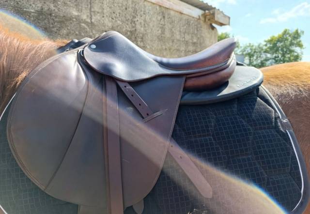 Selle Childeric 17'