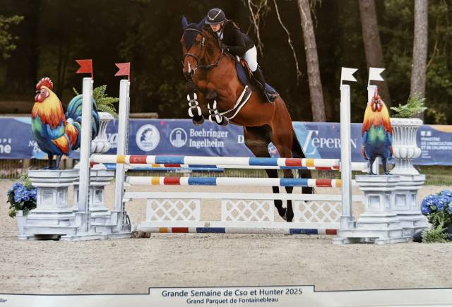 Jument 5 ans SF