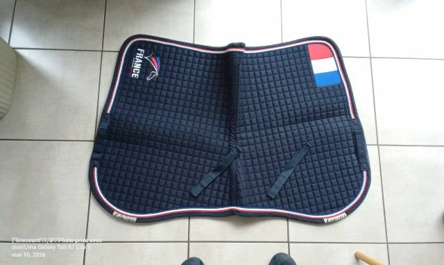 Tapis dressage 