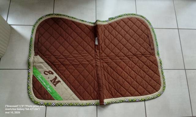 Tapis de dressage 