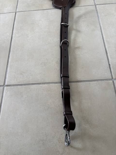 Collier de chasse Norton pro