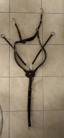 Collier de chasse Norton pro