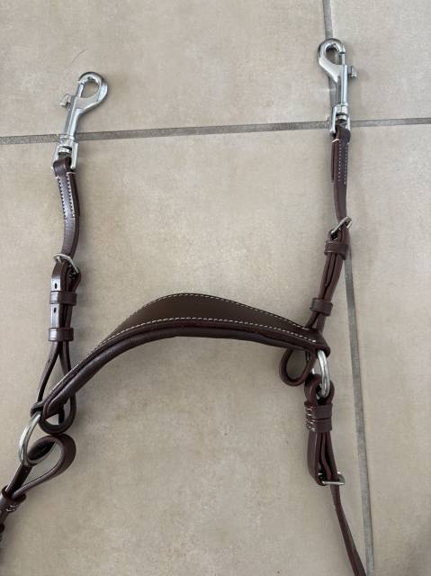 Collier de chasse Norton pro