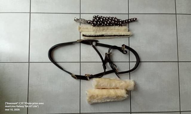 Lot licol en cuir 