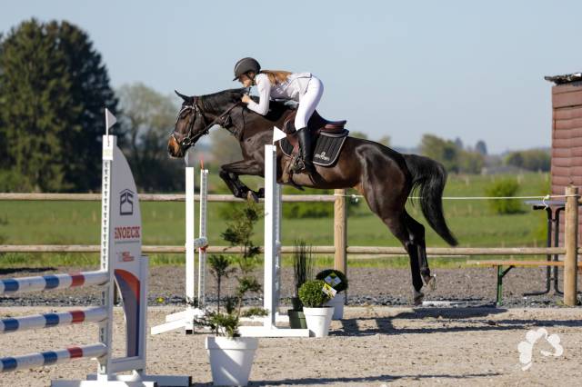 Top jument pour s&rsquo;&eacute;clater au concours!