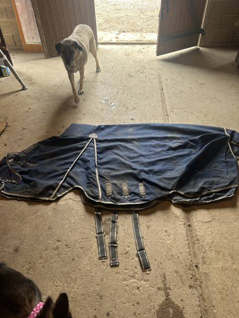 couvertures cheval 165cm