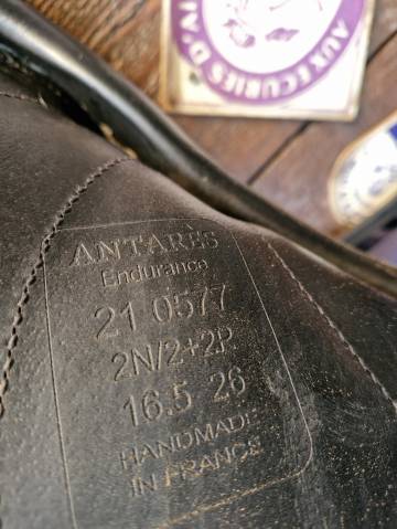 Selle antares 16,5