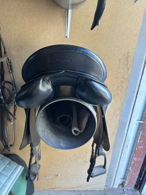 Selle dressage Prestige Italia 17