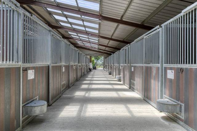Domaine &eacute;questre de prestige avec h&eacute;bergements et installation