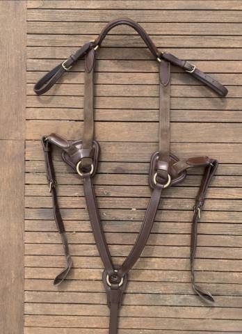Collier de chasse + martingale Time Rider 