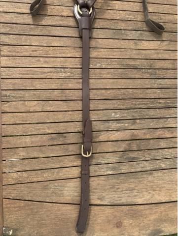 Collier de chasse + martingale Time Rider 