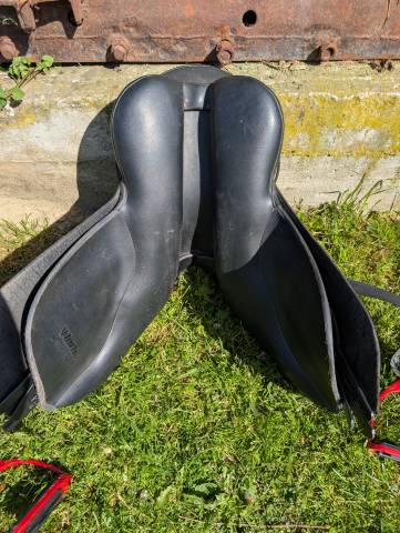 selle wintec 250