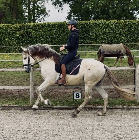 Magnifique entier PRE 4 ans 