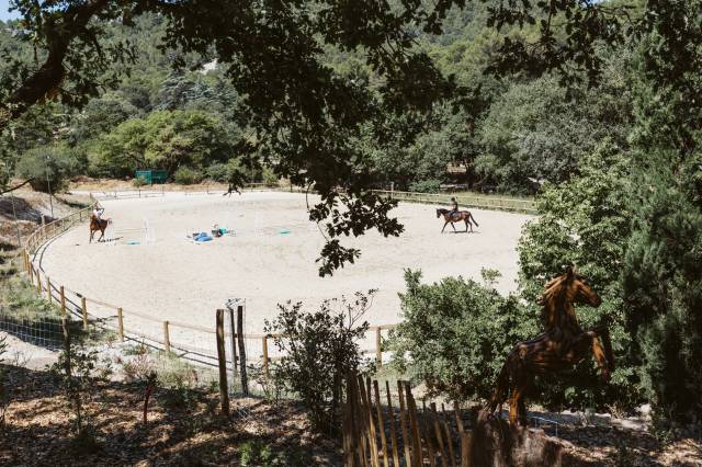 L'excellence &eacute;questre et art de vivre proven&ccedil;al